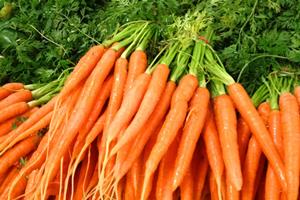 carrots-200-300