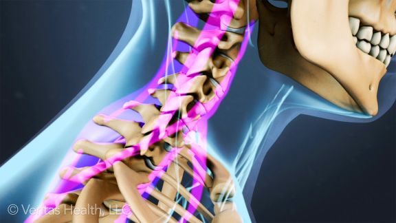 How Do Chiropractic Adjustments Work?